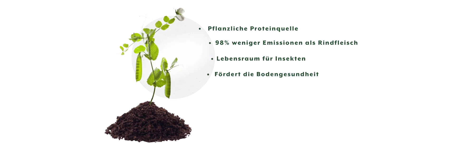 Vorteile von Hülsenfrüchten im Anbau