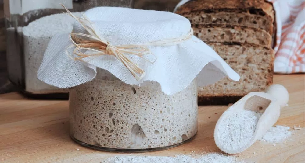 Sauerteig selber ansetzen
