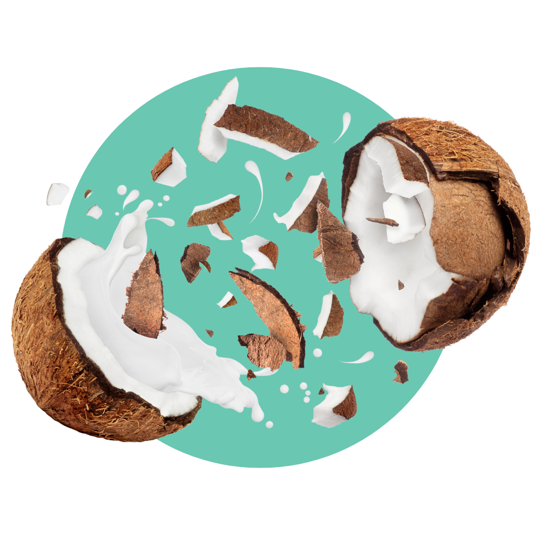Zerbrochene Kokosnüsse mit Kokoscreme von Bohlsener Mühle.