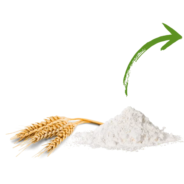 Aus Bio-Getreide wir Mehl für Bio-Brote der Bohlsener Mühle