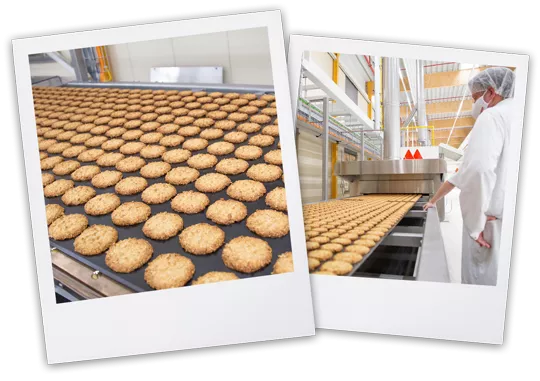 Kekse in der Bio-Produktion in Bohlsen