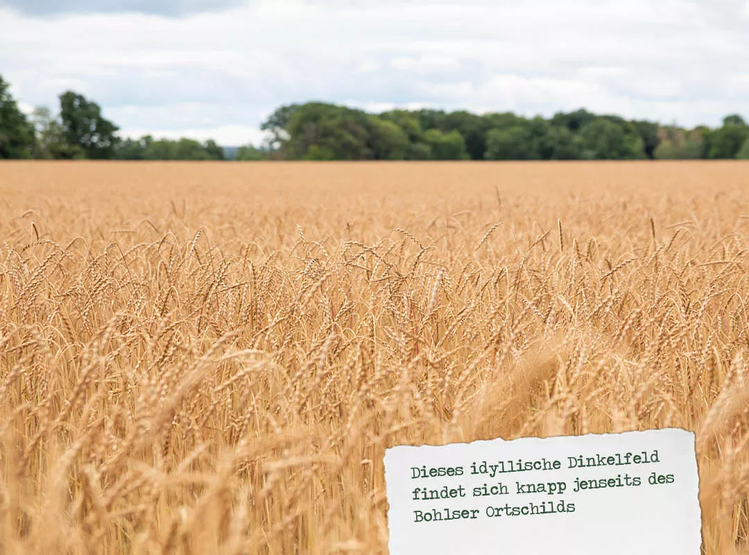 Schichtsalat mit Kochdinkel