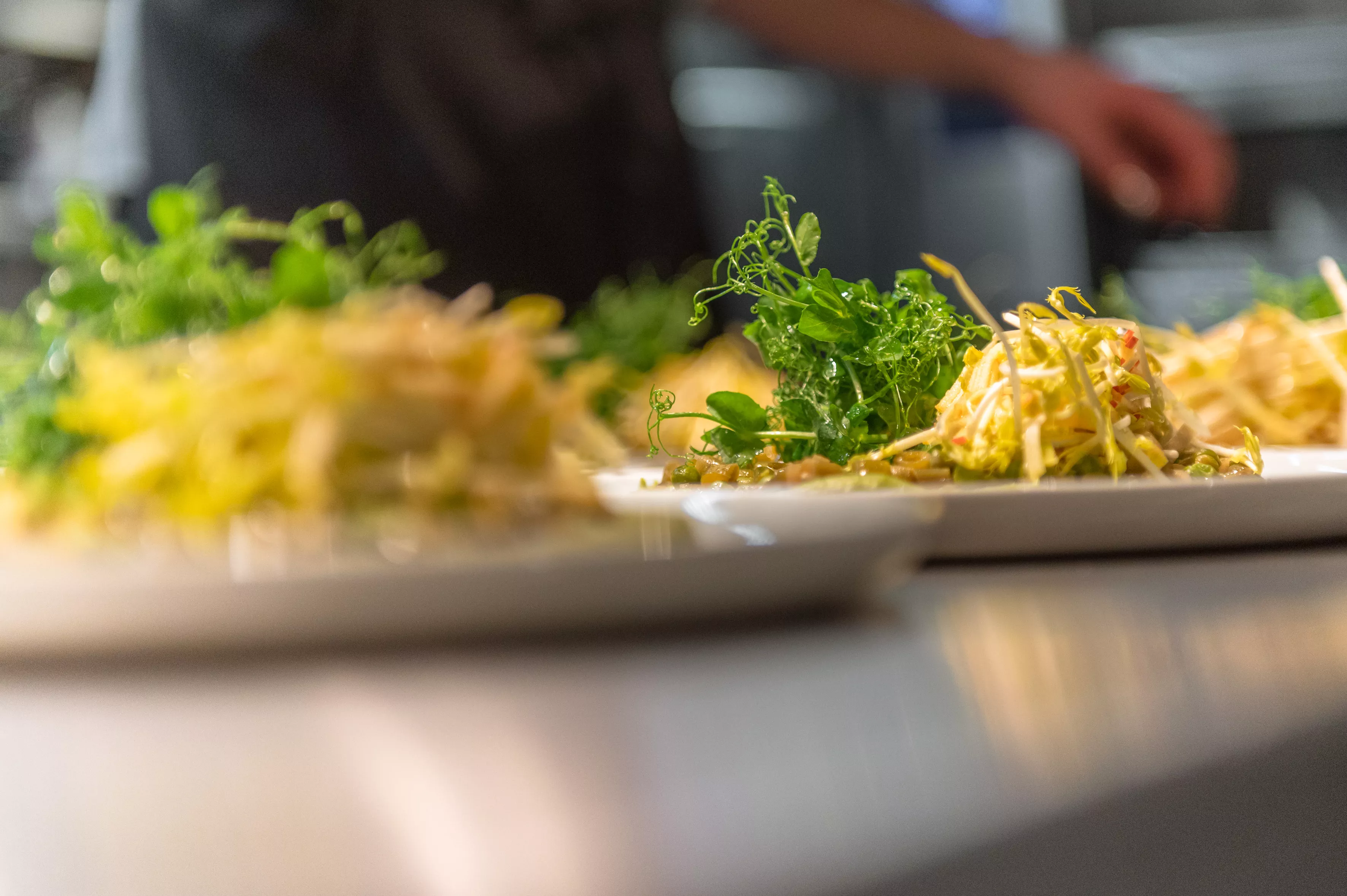 Essen im Foodlab der Bohlsener Mühle