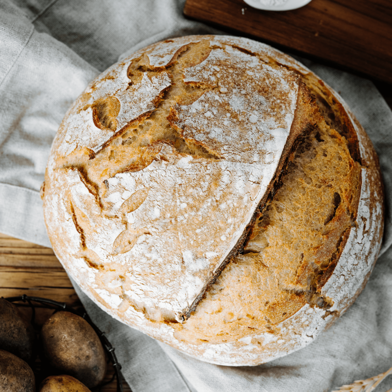 Ein runder Laib Bohlsener Mühle Kartoffelbrot mit bemehlter Kruste liegt auf einem hellen Leinentuch neben Kartoffeln.
