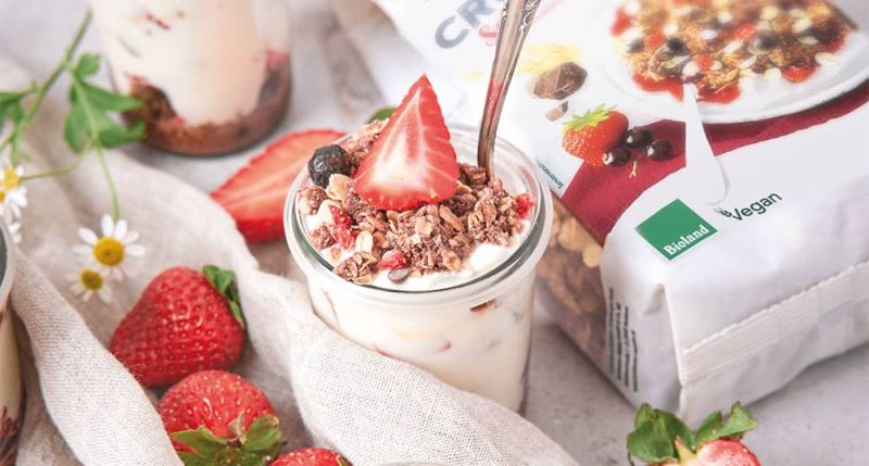 Veganes Erdbeer-Schokoladen-Tiramisu Veganes Erdbeer-Schokoladen-Tiramisu